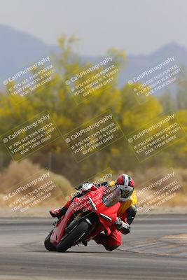 media/Apr-12-2025-Race Pace (Sat) [[9230add55f]]/Vested/1-Turn 2 (10am)/